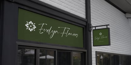 Franky Rain Font Poster 6