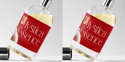 Salctego Font Poster 10