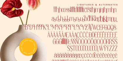 Salctego Font Poster 14