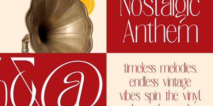 Salctego Font Poster 6