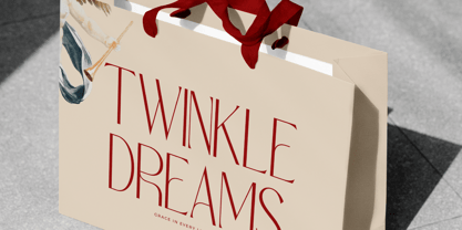 Salctego Font Poster 13