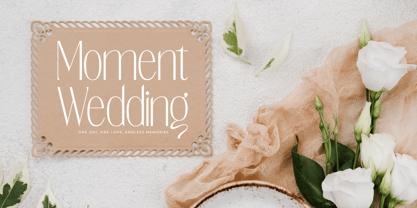 Salctego Font Poster 7