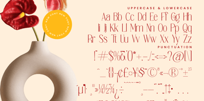 Salctego Font Poster 15