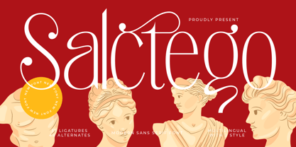 Salctego Font Poster 1