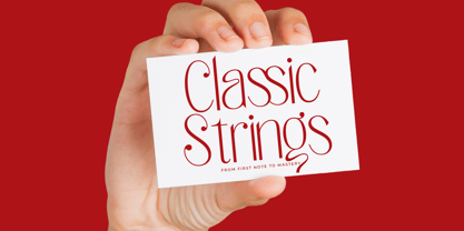 Salctego Font Poster 9