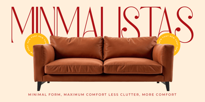 Salctego Font Poster 5