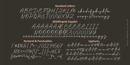 Coffee Signature Font Poster 11