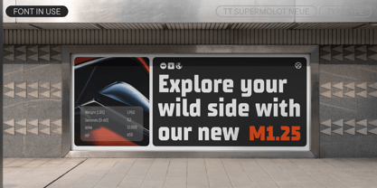 TT Supermolot Neue Font Poster 13