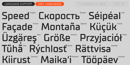 TT Supermolot Neue Font Poster 7