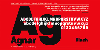 Agnar Font Poster 4