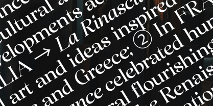 Avenea Font Poster 4