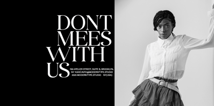 Avenea Font Poster 6