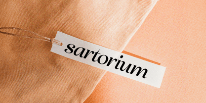 Avenea Font Poster 5