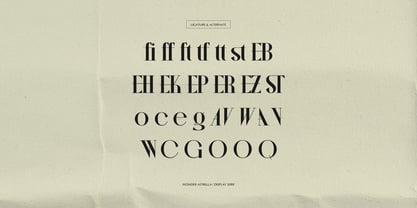 Wonder Astrella Font Poster 12