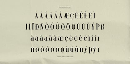 Wonder Astrella Font Poster 11