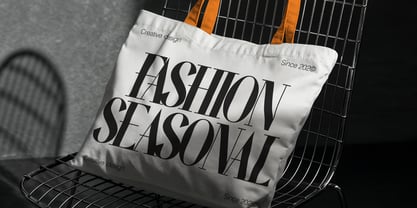 Wonder Astrella Font Poster 8