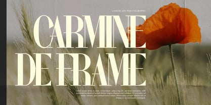 Wonder Astrella Font Poster 2