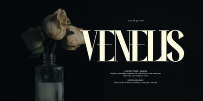 Wonder Astrella Font Poster 3