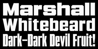 Garp Sans Font Poster 2