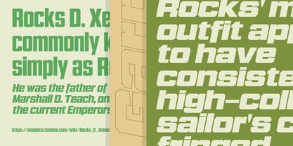 Garp Sans Font Poster 3