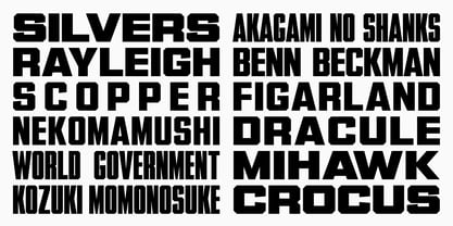 Garp Sans Font Poster 4