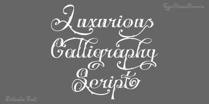 Betonila Font Poster 7