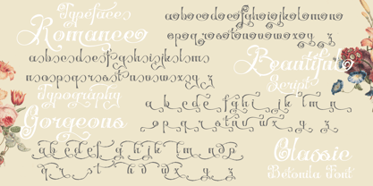 Betonila Font Poster 9