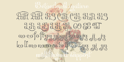 Betonila Font Poster 8