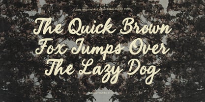 Limetime Font Poster 3