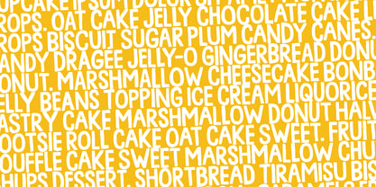 Gorgeous Mistake Font Poster 9