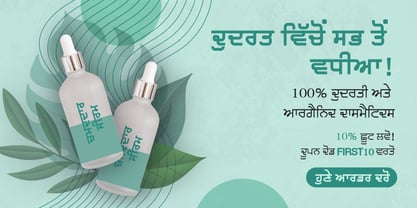 Shree Punjabi 1766 Font Poster 4