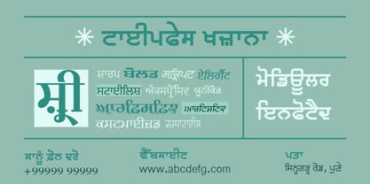 Shree Punjabi 1766 Font Poster 5
