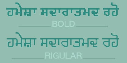 Shree Punjabi 1766 Font Poster 1