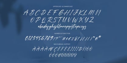 Hinora Signature Font Poster 11
