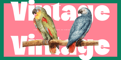 Pearl Mirage Font Poster 10