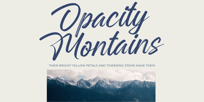 Rangdak Morattes Font Poster 11