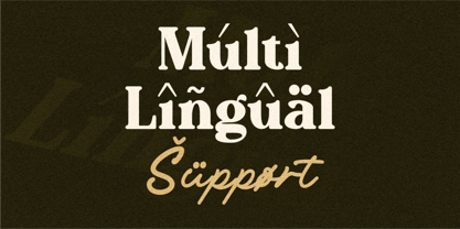 Naken Mantega Font Poster 6