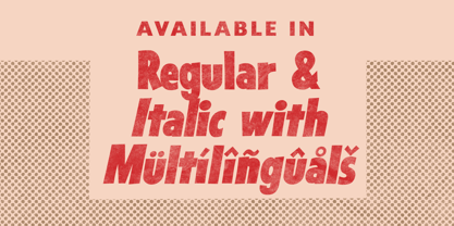 Sansible SW Font Poster 2