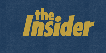 Sansible SW Font Poster 9