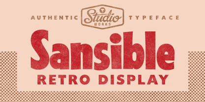 Sansible SW Font Poster 1