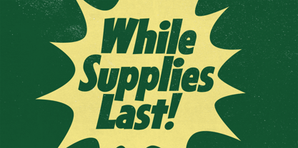 Sansible SW Font Poster 4