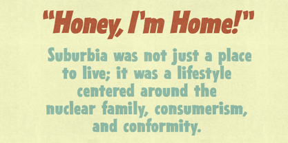 Sansible SW Font Poster 10