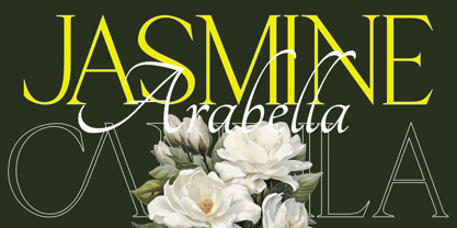 Serinca Font Poster 4