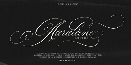 Auraliene Script Pro Font Poster 1
