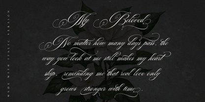 Auraliene Script Pro Font Poster 11