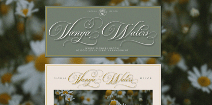 Auraliene Script Pro Font Poster 10