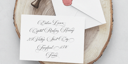 Auraliene Script Pro Font Poster 12