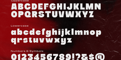 Exulta Font Poster 2