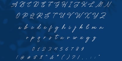 Amely Shine Font Poster 6