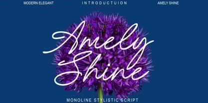 Amely Shine Font Poster 1